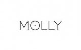 Integracja z hurtownią dropshipping Molly