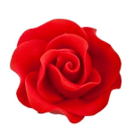 Róża Max 6 szt. czerwona