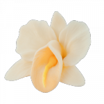 Kwiaty cukrowe - Storczyk opak. 10 szt. ecru