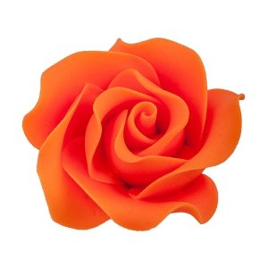 Róża Max 6 szt. pomorańczowa