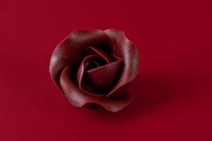 Róża Mini Max 20 szt. czekoladowa