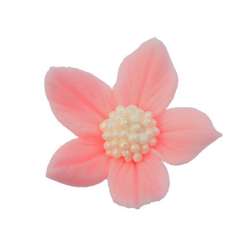 Płomyk różowy (3 x 10szt)