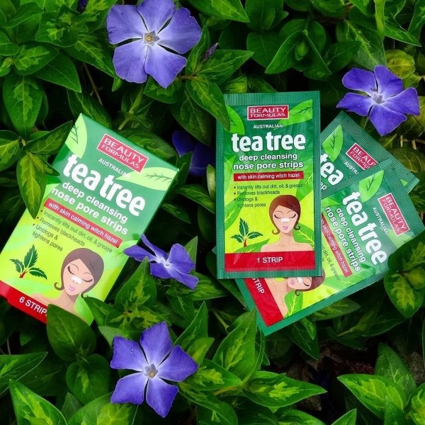 Beauty  Formulas Tea Tree Głęboko oczyszczające paski na nos  1op-6szt