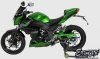 Szyba ERMAX SPORT 30 cm Kawasaki Z300 2015 - 2016