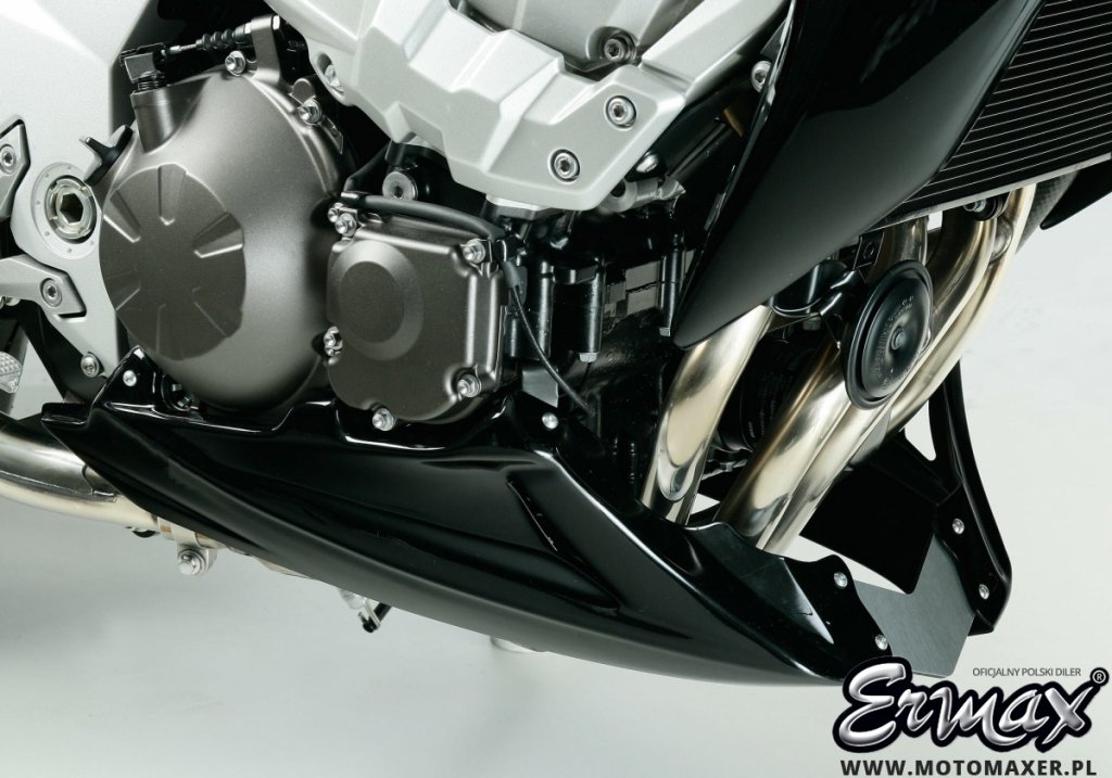 かっちゃん 24- Ninja ZX-6R NASSERT-Evolution TypeⅡ スリップオン