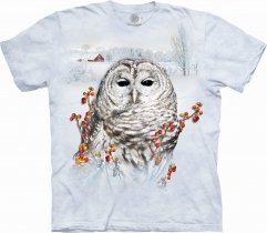Country Owl - The Mountain