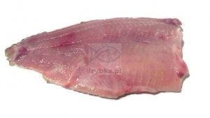5026 Karp filetowany, 1 x 10 kg box  cena za kg