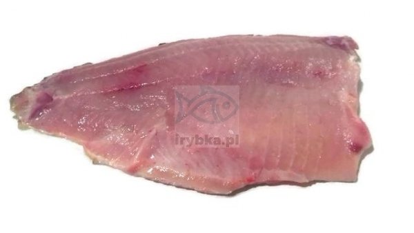 5026 Karp filetowany, 1 x 10 kg box  cena za kg