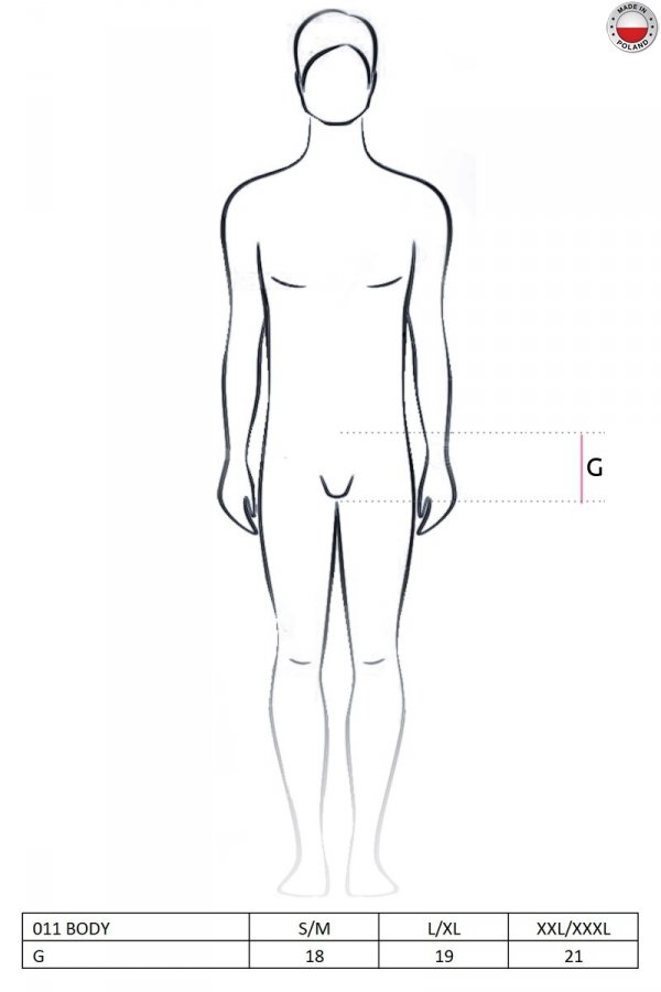 011 BODY