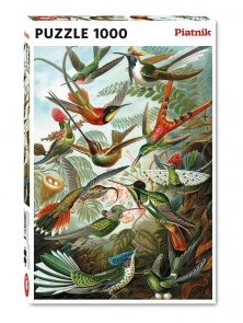 Puzzle Haeckel, Kolibry Piatnik