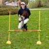 Hobby Horse Skippi - koń na kiju - Biszkopt