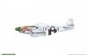 Eduard 82101 P-51D-5 1/48