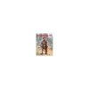 ICM 16302 Roman Centurion (I century)