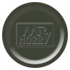 Hobby Colour H064 Dark Green (Sg)