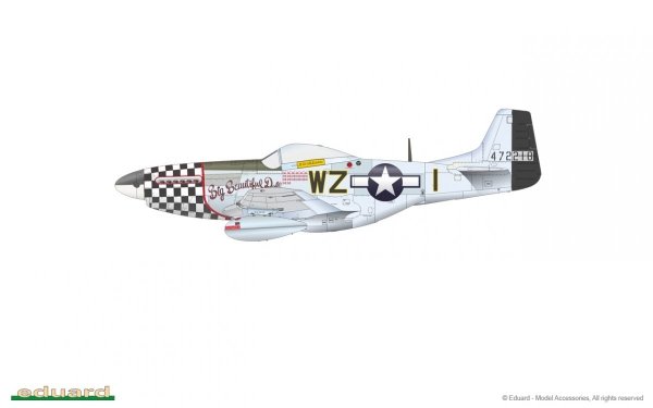 Eduard 82102 P-51D Mustang ProfiPack Edition