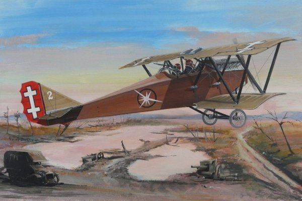 Fly 48010 Ansaldo S.V.A.10 1/48