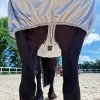 Derka siateczkowa Eczema