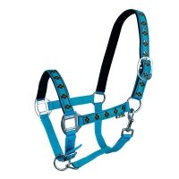 Kantar Kimi, turkusowo-brązowy 