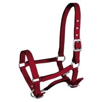 Kantar źrebięcy Tobi koralowy 