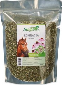 Echinacea jeżówka 