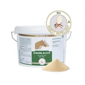 Czosnek Equipur knoblauch