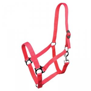 Kantar taśmowy Harmony koralowy