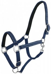 Kantar Teo, kolor granatowy