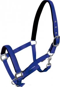 Kantar Fluo niebieski