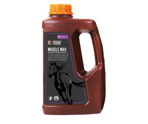 Muscle Max suplement wspierający mięśnie
