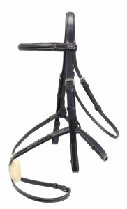 Ogłowie meksykańskie Mexicanus