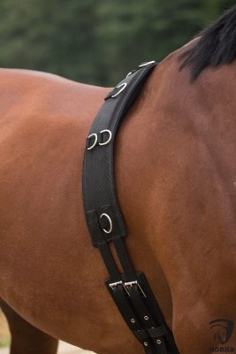 Pas do lonżowania Soft black