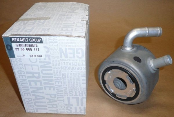 Original 8200068115