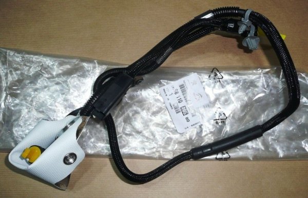 Original 9811040580