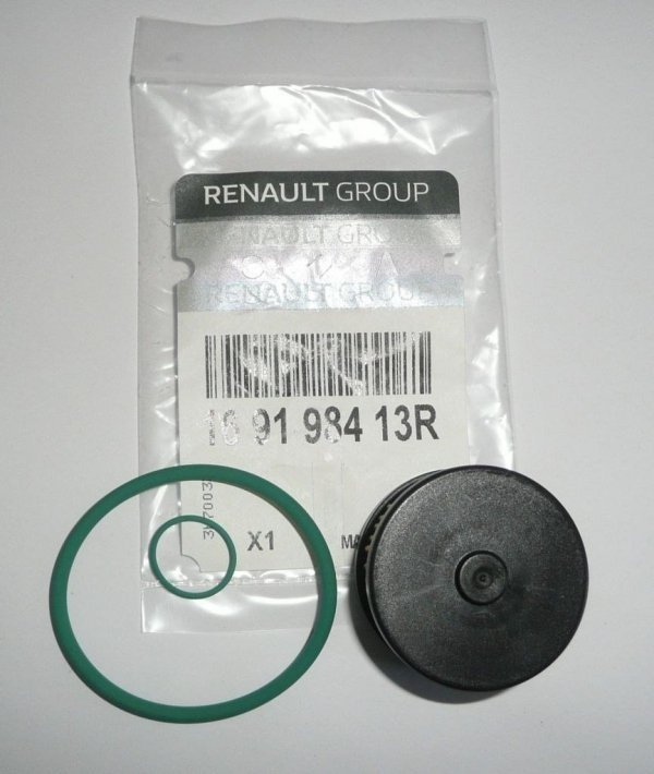 Filtre à gaz d'origine pour Renault Clio, Kangoo, 169198413R