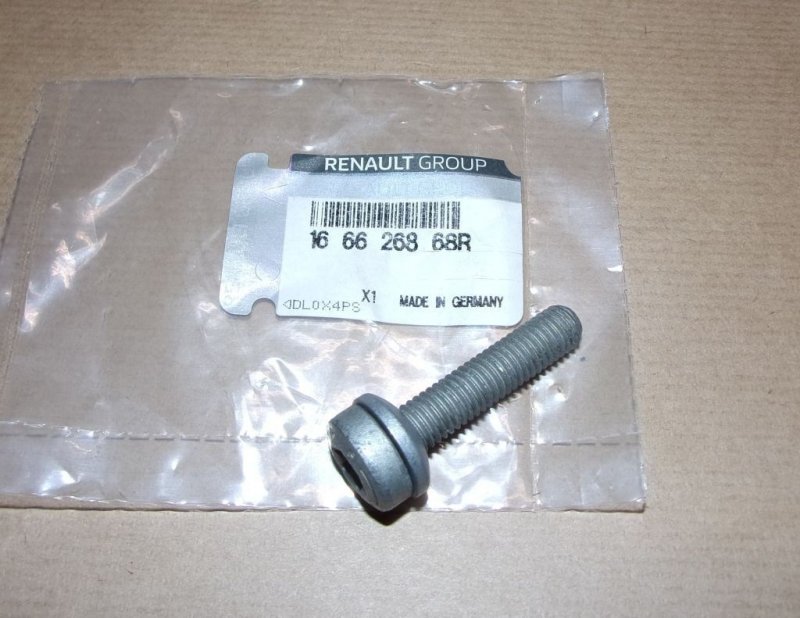 Boulon de fixation d'injecteur Renault Trafic II 1.9DCI, 166626868R, 