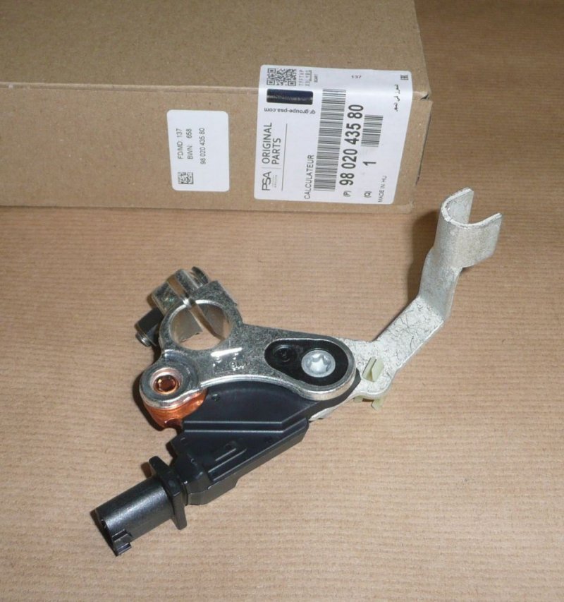 Borne négative capteur Citroën Berlingo III, 9802043580, 9802043580,