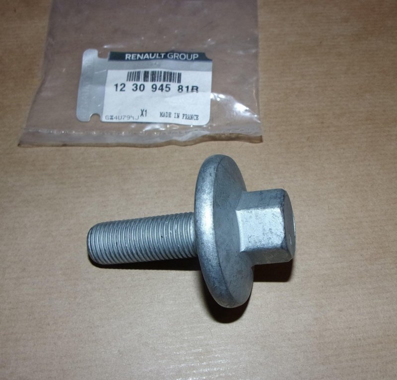 Boulon d'arbre à cames Renault Megane III 1.2TCE, 123094581R, 