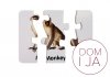 Puzzle Edukacyjne Układanka Dzikie Zwierzęta 10 Połączeń Angielski