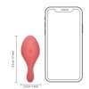Panty Vibrator with Remote Control