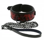 Dream Toys Blaze Deluxe Collar & Leash - obroża ze smyczą  (czarny)