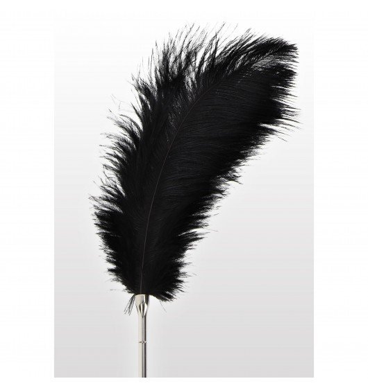 Taboom Feather Tickler - piórko (czarne)