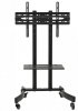 Stand wózek do TV Maclean, profesjonalny, na kółkach, max 32-65, max 40kg, MC-739