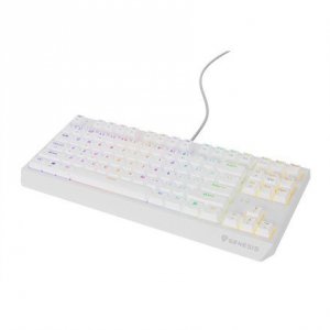 GENESIS Thor 230 TKL klawiatura USB + RF QWERTY