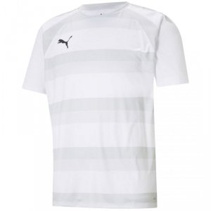 Koszulka męska Puma teamVISION Jersey biała 704921 04 M