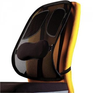 KRZESŁO MESH BACK SUPPORT PROFESSIONAL 8029901 FELLOWES