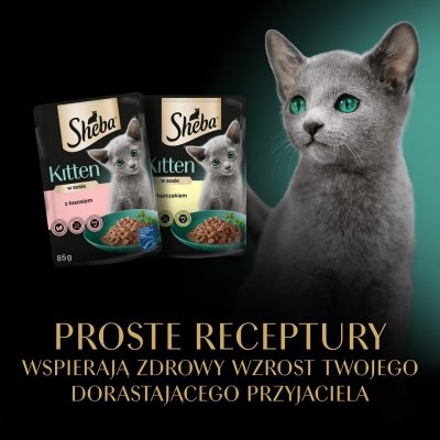 SHEBA Nature&#039;s Collection Drobiowe smaki w galarecie- Junior Kurczak/Łosoś - Mokra karma dla kota 40x85g