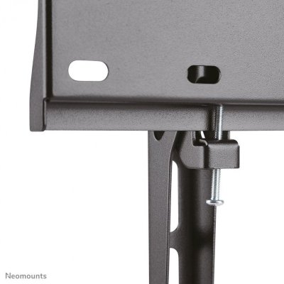 Neomounts by Newstar FPMA-W350 139,7 cm (55&quot;) Czarny