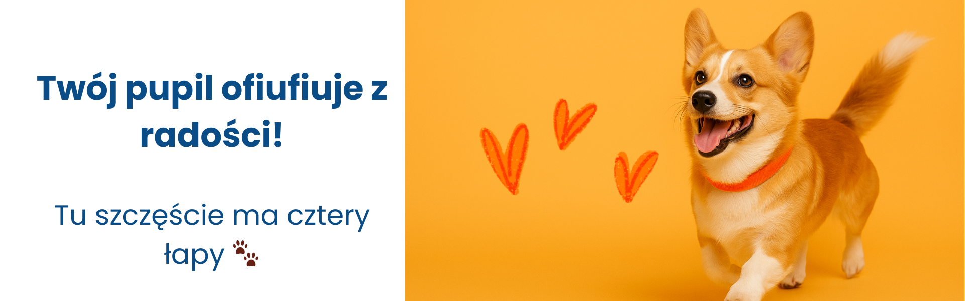 1771241529-twoj-pupil-ofiufiuje-z-radosci-1200-x-628-px-1920-x-600-px-1771241529.png