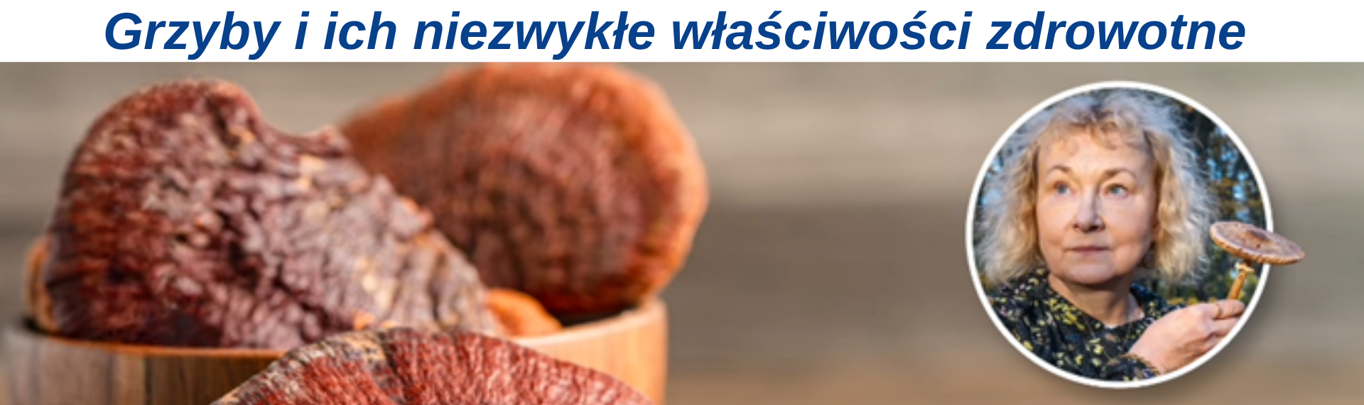 https://colwayshop.pl/_blog/266-Grzyby_i_ich_niezwykle_wlasciwosci_zdrowotne_%E2%80%93_co_warto_wiedziec.html