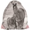 Modowy Plecak Szkolny Dziewczęcy z Końmi Konie Zestaw [PP20KO-260]